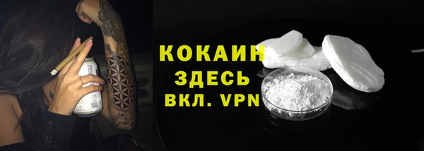 стаф Арсеньев
