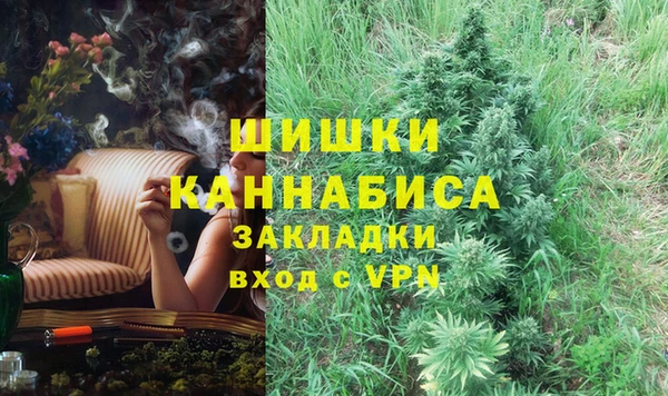 стаф Арсеньев