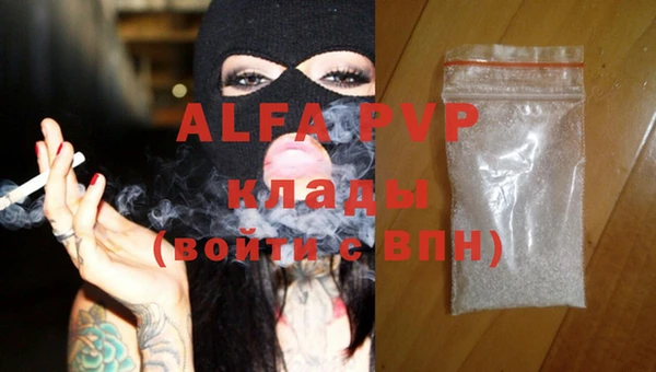 стаф Арсеньев