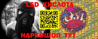 ALPHA PVP Кимры