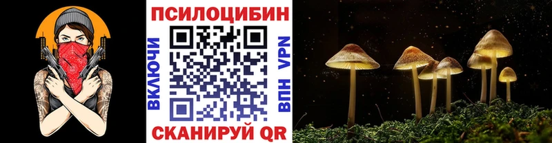 Псилоцибиновые грибы Magic Shrooms  купить   Новозыбков 