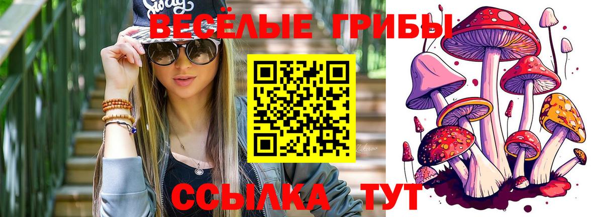 Псилоцибиновые грибы прущие грибы  Вход с VPN  Новозыбков 