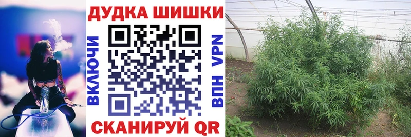 Марихуана Bruce Banner  купить наркотики сайты  Новозыбков 